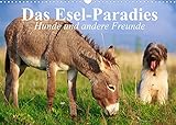 Das Esel-Paradies - Hunde und andere Feunde (Wandkalender 2022 DIN A3 quer)