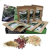 Geschenkbox mit Heilkräuer I 200g Heilkräuter im Probierpaket I 8x25g Heilk