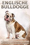 Englische Bulldogge: Wissenswertes über Hunde für Kinder #10 (Wissenswertes über Hunde für Kinder.)