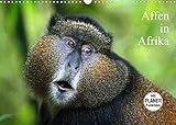 Affen in Afrika (Wandkalender 2022 DIN A3 quer)