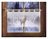 DEMASol Scheibengardine Hirsch 45 x 120 cm Caféhausgardine mit Schlaufen winterliche Landhausdeko Bedruck