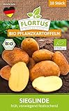 FLORTUS 2000-0619 Pflanzkartoffel Sieglinde (10 Stück) (früh, vorwiegend festkochend) (BIO Pflanzkartoffeln)