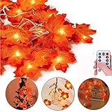 Vakola Ahornblätter Lichterketten Autumn Deko, 3 Meter 20 LED Ahornblatt Autumn Blättergirlande Girlande für Hochzeit Haus Autumn Weihnachtsfeiern Thanksgiving Außen Decorations Autumn g