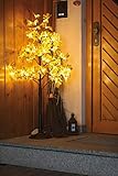 HELLUM 576436 LED Ahornbaum Lichterbaum Dekoleuchte Dekolicht Baum Lichter Ahorn 96-flammig warmweiß 120 cm, Zuleitung 5m mit Außen-T