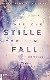 Wie die Stille vor dem Fall. Erstes Buch (Chances-Reihe 2)