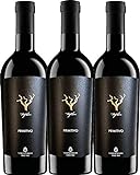 VINELLO 3er Weinpaket Primitivo - Trefilari Primitivo 2020 - Cantina Sampietrana mit einem VINELLO.weinausgießer | 3 x 0,75 L