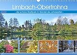 Limbach-Oberfrohna - der schöne Stadtpark im Wandel der Jahreszeiten (Wandkalender 2022 DIN A3 quer)