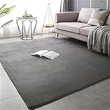 Teppich Modern Super Soft Touch Grau Korallen Teppich Shaggy Wohnzimmer Großer Rugs Flauschiges Schlafzimmer Kurzflor Rugs Indoor Anti Rutsch Carpet Geeignet für Wohnkultur(73)