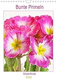 Bunte Primeln (Wandkalender 2022 DIN A4 hoch) [Calendar] Kruse, Gisela [Calendar] Kruse, G