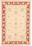 Rugs of London Traditioneller afghanischer Teppich, handgefertigt, Garous Zeigler, Wolle, 175 x 117 cm, roter Rand, Beig