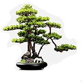 WENMENGWF Künstlicher Bonsai-Baum Künstliche Kiefer Bonsai Indoor Pflanze Topf Tischdekoration Naturstein Keramik Weiß Pferd Realistische Moos G