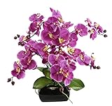 Kunstblume Schmetterling Orchidee mit Blätter und Luftwurzeln in Schale aus Keramik Künstliche Blume Kunstorchidee Phalaenopsis mit Übertopf Kunstpflanze Hochzeit Deko Seidenblume Real Touch Blü