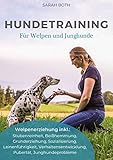 Hundetraining für Welpen und Junghunde: Welpenerziehung inkl. Stubenreinheit, Beißhemmung, Grunderziehung, Sozialisierung, Leinenführigkeit, Verhaltensentwicklung, Pubertät, Junghundeprob