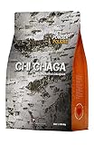 Pulver aus hochwertigen Chagapilzen - 100% authentischer wild geernteter kanadischer Chagapilz-T