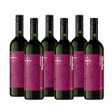 Amazon-Marke - Compass Road Rotwein Merlot, Südafrika (6x0,75L)