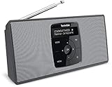 TechniSat DIGITRADIO 2 S - Tragbares DAB Stereo-Radio mit Akku (DAB+, UKW, Bluetooth Audiostreaming, OLED Display, Kopfhöreranschluss, Stereo 2 W RMS) schwarz/silb