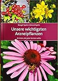 Unsere wichtigsten Arzneipflanzen: 41 Arten, die jeder k