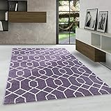 Kurzflor modern Designer Teppich,kurzflor Wohnzimmer Weicher Teppich Zaun Motiv, Maße:200 cm x 290 cm, Farbe:L