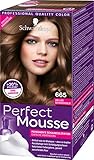 Schwarzkopf Perfect Mousse Permanente Schaumcoloration, 665 Helles Schokogold Stufe 3, 3er Pack (3 x 93 ml)