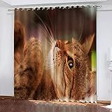 LucaSng Verdunkelungsvorhang Ösen Gelbe Katze Verdunklungsvorhänge Kinder Thermovorhang Ösenvorhänge Vorhang Blickdicht Ösenschal Verdunkelungsvorhang 2Er Set 132x160 cm(B x H)