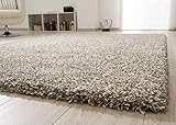 Ragolle Shaggy Hochflor Teppich Twilight | Dicker elastischer Flor für das Wohnzimmer in Silber 6688 meliert 6699, Größe: 80x150