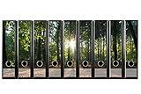 codiarts. 9 Stück breite Akten Etiketten selbstklebend DIN A4 breit (Ordnerrücken Aufkleber Klebeetiketten) Sonne Waldlichtung Natur Sonnenuntergangfür Büro Arbeitsplatz zu H