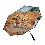 Isaoa Regenschirm mit Katzen-Motiv, winddicht, wasserdicht, groß, faltbar, mit Trag