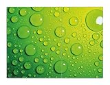 Wallario Herdabdeckplatte/Spritzschutz aus Glas, 2-teilig, 70x52cm, für Ceran- und Induktionsherde, Motiv Wassertropfen auf Grü