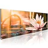 murando - Bilder Blumen 90x30 cm Vlies Leinwandbild 1 TLG Kunstdruck modern Wandbilder XXL Wanddekoration Design Wand Bild Panoramabild - Wasserlilien Wellness Spa Natur b-B-0121-b