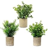 3 Stück Grün sortiert Vierblättriges Kleeblatt Buchsbaum baum und Rosmarin Kunststoffpflanze in Papiertöpfen künstliche Pflanzen zum Dekorieren von Schreibtischen Home Office Balkon Küchen Tischdek