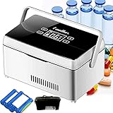 YQJY Tragbare Insulin Kühlbox für Reisen/Interferon/Lagerung Von Arzneimitteln Tragbare Kleiner Insulin-Kühlkoffer Medikamente Insulin Kühlbox Medizin Diabetes-Tasche,2*Battery