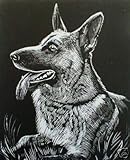 WASO-Hobby - 4er Scrapy Kratzbilder Set - Hunde Motive/Silber *Groß*