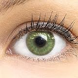 GLAMLENS Neapel Green Grün + Behälter | Sehr stark deckende natürliche grüne Kontaktlinsen farbig | farbige Monatslinsen aus Silikon Hydrogel | 1 Paar (2 Stück) | DIA 14.20 | ohne Stärk