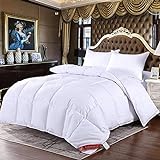 WANGXIAOYUE Tröster Duvet 95% weiße Gänse-Down-Quilt-Winter-Quilt-Doppel-Quilt-Bettdecke, Doppelbett Decke (Color : White, Size : 220x240cm 4kg)