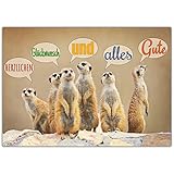 A4 XXL Glückwunschkarte ERDMÄNNCHEN mit Umschlag - edle Klappkarte geeignet für alle Anlässe wie Geburtstag Hochzeit Jubiläum Karte von BREITENWER