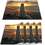 COFEIYISI Platzsets(4er Set),Golden Retriever Hund Strand Ozean Wolken Blauer Himmel Sonnenuntergang Schöne Aussicht Tischset Hitzebeständig für Küche Weihnachten,Bankett,Geburtstag,Hochzeit 30x45