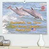 GEOclick Lernkalender: Steckbriefe von Tieren aus fernen Ländern: Florida/USA (Premium, hochwertiger DIN A2 Wandkalender 2022, Kunstdruck in Hochglanz)