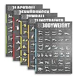 Windhund Fitness Poster 5er-Set (Bodyweight Sling Gymball Dehnen Blackroll)