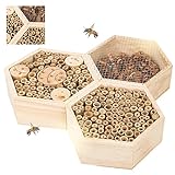 Smart Planet Insektenhotel Hexagon 3-teilig - groß Nistplatz für alle Jahreszeiten -Bienenstock im eigenen Garten -Insektenhaus zum selber züchten O