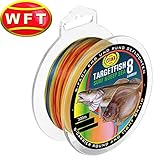 WFT TF8 Surf Deep Sea Multicolor 300m - Meeresschnur zum Pilkangeln, geflochtene Angelschnur zum Meeresangeln, Schnur für Norwegen, Durchmesser/Tragkraft:0.30mm / 28kg Tragk