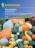 Kiepenkerl Zierkürbis S