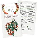 Tomatensamen Cocktailtomate Balkonzauber: Premium Mini Tomaten Samen zum Anbau von Tomatenpflanzen, Topf Tomaten Samen Balkonzauber für Balkon, Kübel und Garten – 5 Gemüse Samen von OwnGrow