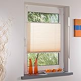 Liedeco® Plissee verspannt mit Klemmträger / 60 x 130 cm beige (Breite x Höhe) / lichtdurchlässig blickdicht und stufenlos verstellbar / leichte Innen-Montage ohne Bohren / 123 montiert / Plissee farbig zum Klemmen fürs Fenster in vielen Farben und Größen / Klemmfix-Plissee als Sichtschutz Blendschutz Sonnenschutz und Fensterdekoration innen / Rollos Falt-Plissee Jalousien Zubehör von L