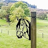 Gartenstecker Rost Deko, Metall Voyeur Kuh, Kuh Metall Baumstecker für Holz Zaunfiguren Gartendekoration, Rost Deko für Garten Für Gartenhof und Innen- und Außendekoration (Pferd)