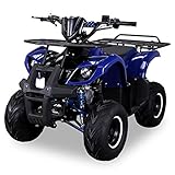 Kinder Quad S-8 Farmer 125 cc Motor Miniquad 125 ccm Toronto (Blau)