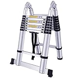 LARS360 5.0M Klappleiter Teleskopleiter Multifunktionsleiter Ausziehleiter Anlegeleiter Mehrzweckleiter Ausziehbare Leiter 16 Stufe Stehleiter aus Hochwertigem Aluminium Belastbarkeit 150KG