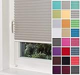 Home-Vision® Premium Plissee Faltrollo ohne Bohren mit Klemmträger / -fix Blickdicht Sonnenschutz Jalousie für Fenster & Tür (Grau, B55cm x H200cm)