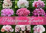 Pelargonien Zauber (Tischkalender 2022 DIN A5 quer) [Calendar] Cross, Martina [Calendar] Cross, M
