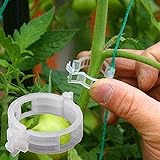 MINGMIN-DZ Dauerhaft 200pcs 23mm Kunststoff-Anlage Unterstützung Clips Klemmen for Pflanzen Hängen Rebe Garten Gewächshaus Gemüse Tomaten Clip
