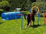 Agility Set für Hunde, Trainings-Set mit Hürde, Sprungring, Stangen und T